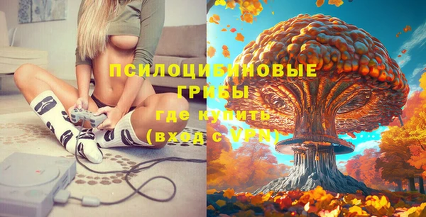 молекула духа Бабаево