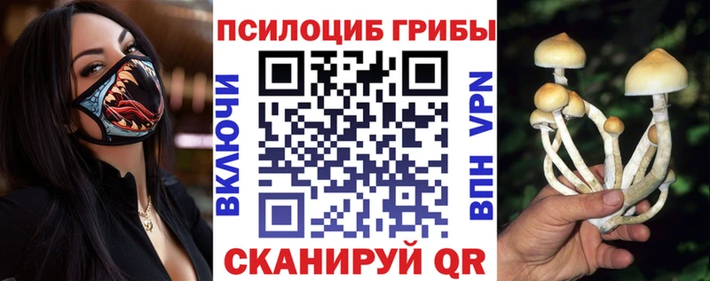 Псилоцибиновые грибы прущие грибы  Киренск 